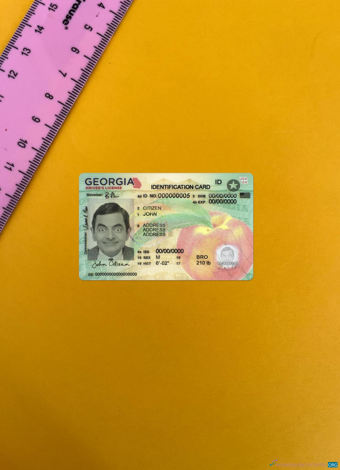 Download USA Georgia ID card version 2 photolook front Photoshop template